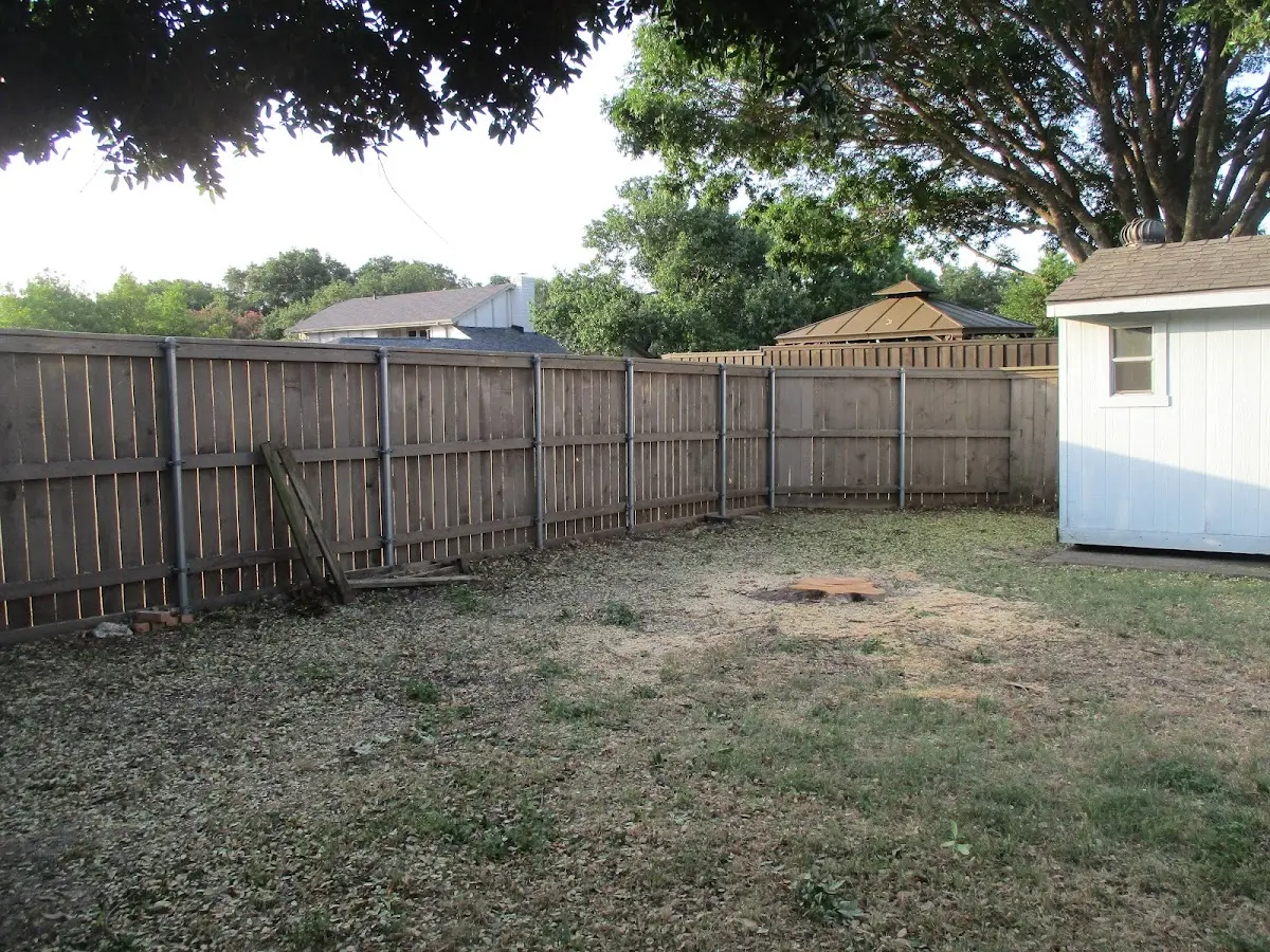 Cleared yard after professional tree removal in Point Pleasant Beach